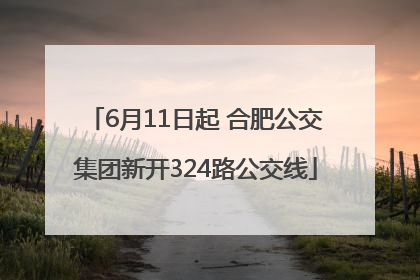 6月11日起 合肥公交集团新开324路公交线