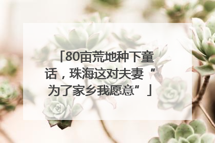 80亩荒地种下童话，珠海这对夫妻“为了家乡我愿意”