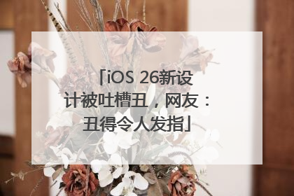 iOS 26新设计被吐槽丑，网友：丑得令人发指